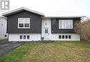 2 Edwards Place, Mount Pearl, NL  - Outdoor 