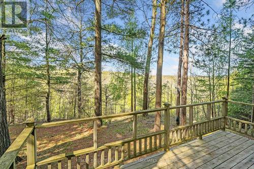 757427 2Nd Line East, Mulmur, ON - Outdoor With View