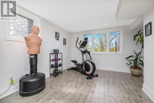 17 Ontario Street, Halton Hills, ON - Indoor Photo Showing Gym Room