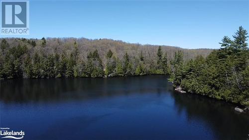 Long Lake view - 1275 Precipice Road, Haliburton, ON - Outdoor With Body Of Water With View