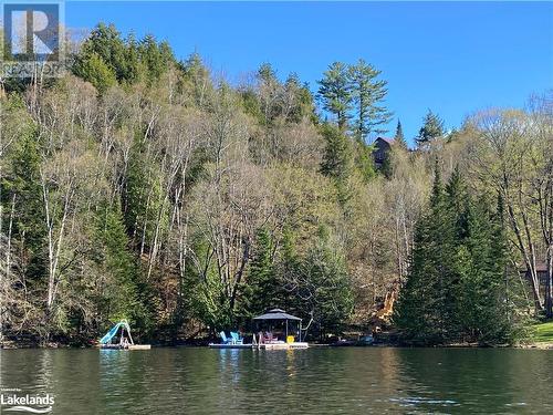 Wide view from water - 1275 Precipice Road, Haliburton, ON - Outdoor With Body Of Water With View