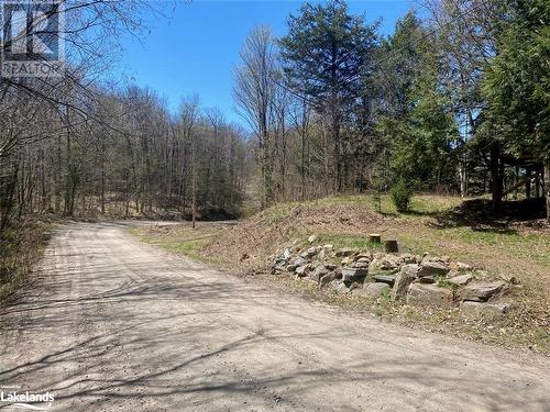 Municipal Year Round Road - 1275 Precipice Road, Haliburton, ON - Outdoor With View