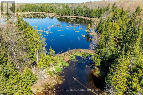 1982 County 504 Road, North Kawartha, ON - Outdoor With Body Of Water With View