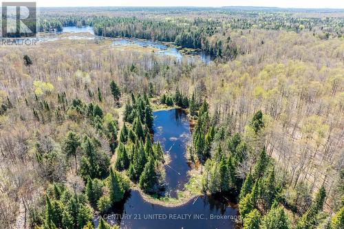1982 County 504 Road, North Kawartha, ON - Outdoor With View