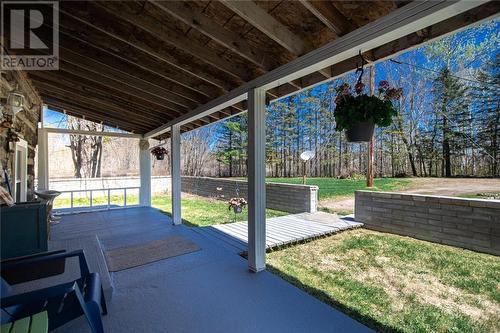 13 Plum Tree Lane, Petawawa, ON - Outdoor With Deck Patio Veranda With Exterior