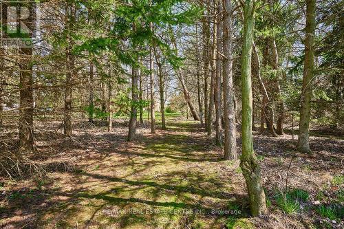 7684 Wellington Rd 11 Road, Mapleton, ON - Outdoor With View