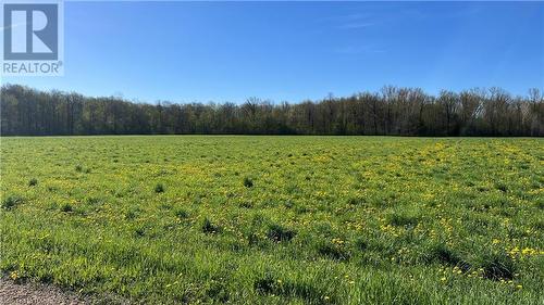 821346 Sideroad 1, Chatsworth (Twp), ON 