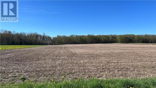 821346 Sideroad 1, Chatsworth (Twp), ON 