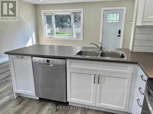 Upper - 31 Cheryl Avenue, Hamilton, ON - Indoor Photo Showing Kitchen With Double Sink