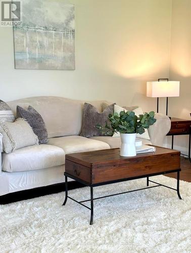 225 Clifton Street, Kawartha Lakes, ON - Indoor Photo Showing Living Room