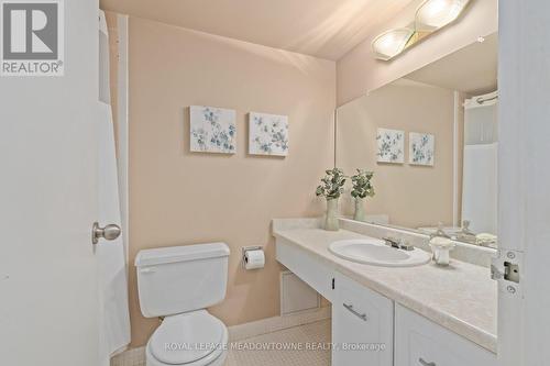 802 - 81 Millside Drive, Milton, ON - Indoor Photo Showing Bathroom