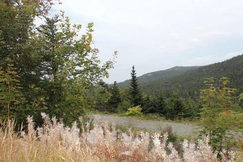 Lot 2-239-241 Beachy Cove Road, Portugal Cove-St. Philip'S, NL 