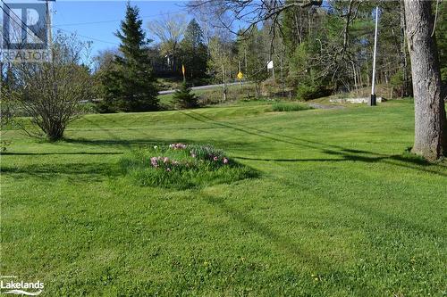 1739 69 Highway, Pointe Au Baril, ON - Outdoor