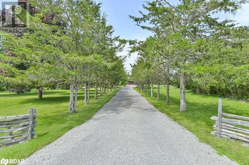 1156 Christian Road, Bloomfield, ON - Outdoor With View