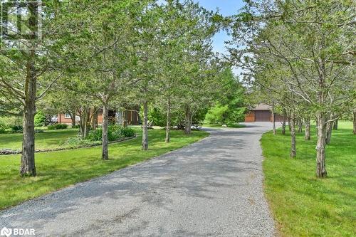 1156 Christian Road, Bloomfield, ON - Outdoor With View