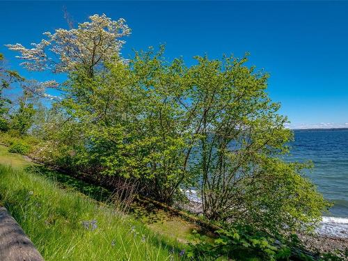 3356 Hillside Rd, Chemainus, BC - Outdoor With Body Of Water With View
