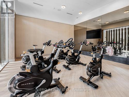 444 - 20 Inn On The Park Drive, Toronto, ON - Indoor Photo Showing Gym Room