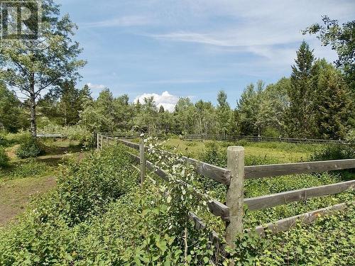 2442 Clara Road, 150 Mile House, BC - Outdoor With View