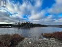 91 Old Track Road, New Harbour, NL  - Outdoor With Body Of Water With View 