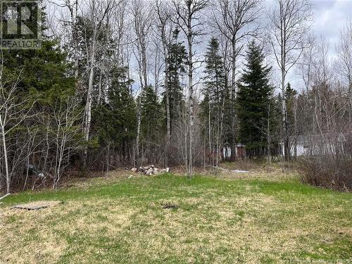 12809 Route 108, Blackville, NB - Outdoor With View