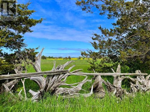 2168 County Road 7, Prince Edward County, ON - Outdoor With View