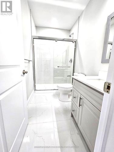 589 Nathalie Cres (Bsmt), Kitchener, ON - Indoor Photo Showing Bathroom