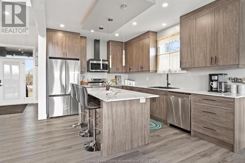 240 Road 7 East, Kingsville, ON - Indoor Photo Showing Kitchen With Upgraded Kitchen
