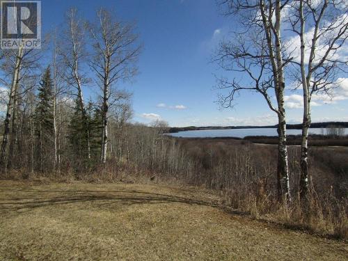 11722 Sinkut Creek Road, Vanderhoof, BC - Outdoor With View