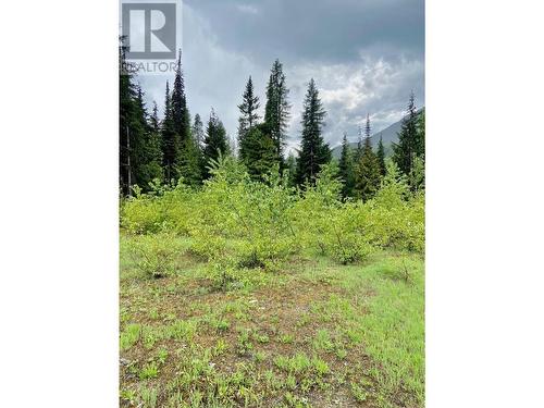 Lot 2 Granite View Road, Rossland, BC 