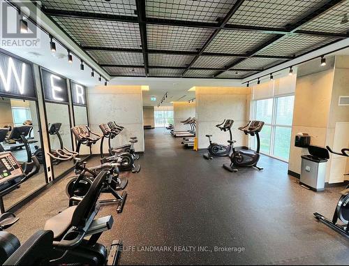 125 - 251 Manitoba Street, Toronto, ON - Indoor Photo Showing Gym Room