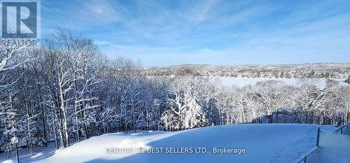 5 Horizon Lane, Huntsville, ON - Outdoor With View