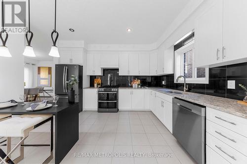 248 Tall Grass Crescent, Kitchener, ON - Indoor Photo Showing Kitchen With Double Sink With Upgraded Kitchen