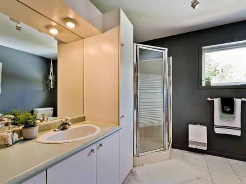 Salle de bains - 621 Rue Des Muguets, Coaticook, QC - Indoor Photo Showing Bathroom