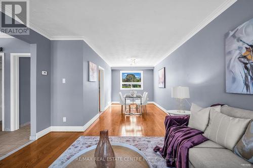 107 Lomar Drive, Toronto, ON - Indoor Photo Showing Living Room