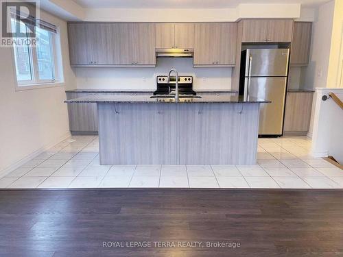 540 Goldenrod Lane, Kitchener, ON - Indoor Photo Showing Kitchen With Stainless Steel Kitchen