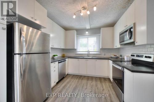 337 Guelph Street, Kitchener, ON - Indoor Photo Showing Kitchen With Double Sink With Upgraded Kitchen