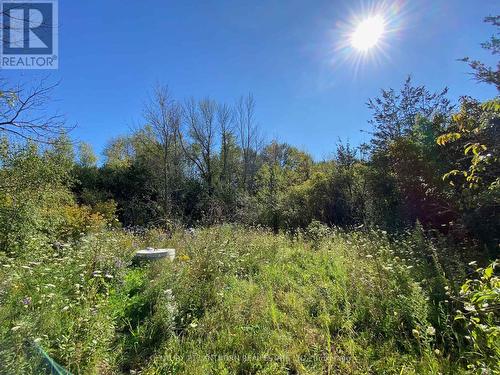 2890 County 10 Road, Prince Edward County, ON 