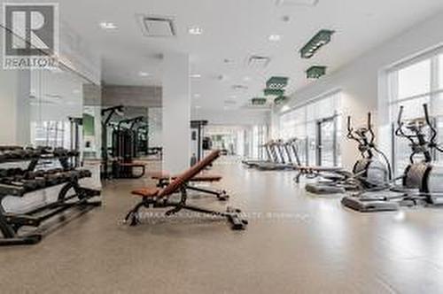 201 - 188 Fairview Mall Drive, Toronto, ON - Indoor Photo Showing Gym Room