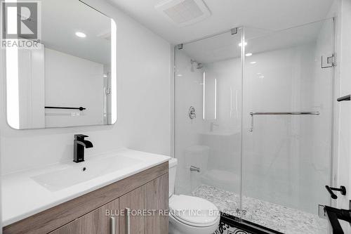 911 Wellingsboro Road, London, ON - Indoor Photo Showing Bathroom