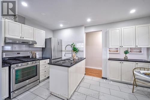 33 Birchard Street, Toronto, ON - Indoor Photo Showing Kitchen With Double Sink