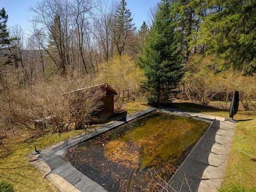 Pool - 10 Rue Jean, Morin-Heights, QC - Outdoor With View