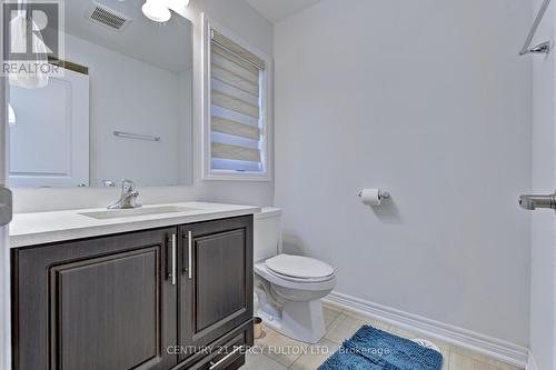 41 Rapids Lane, Hamilton, ON - Indoor Photo Showing Bathroom