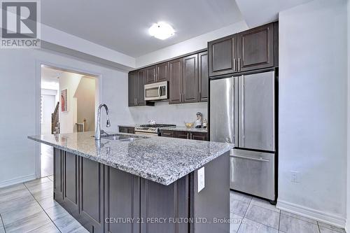 41 Rapids Lane, Hamilton, ON - Indoor Photo Showing Kitchen With Double Sink With Upgraded Kitchen