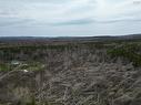 Lot Shore Road, Lower Barneys River, NS 