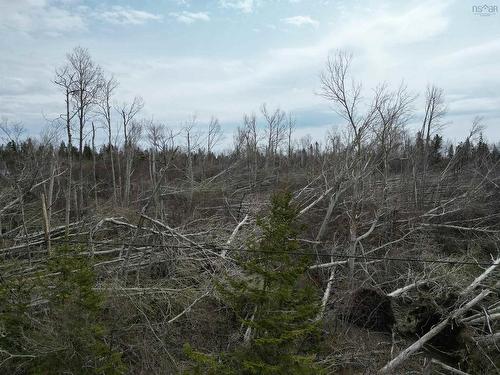 Lot Shore Road, Lower Barneys River, NS 