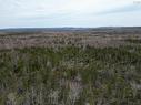 Lot Shore Road, Lower Barneys River, NS 