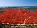 78 Acres Southwest Cove Road, Southwest Cove, NS 