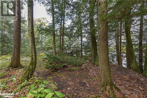 176 280 Island, Port Severn, ON - Outdoor With View