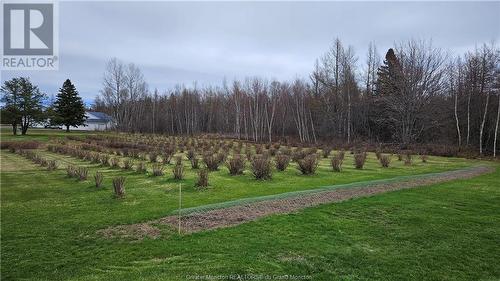 3521 Route 505, Richibucto Village, NB - Outdoor With View