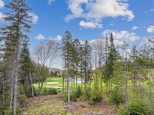 Wooded area - 54 Rue Bob-Seale, Morin-Heights, QC - Outdoor With View